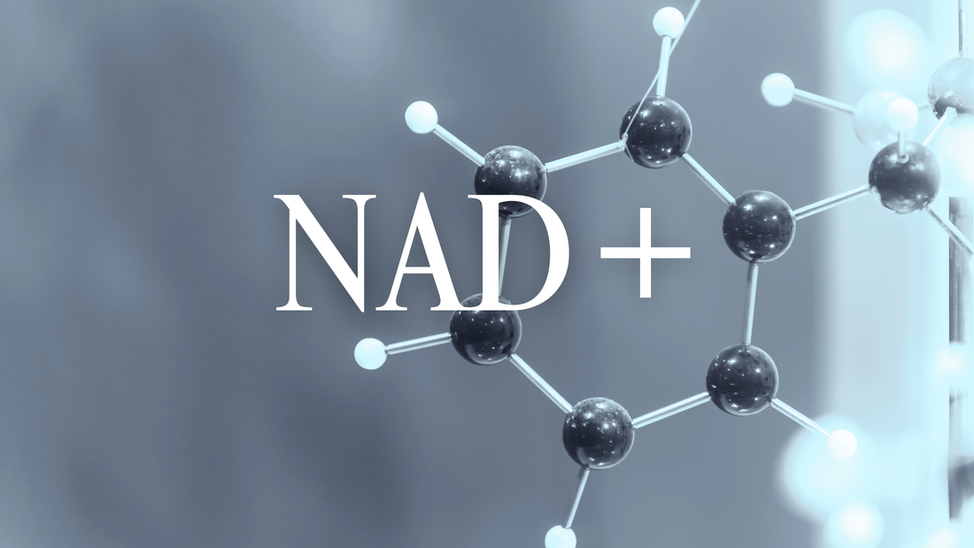 NAD+ The Molecule of Youthful Energy and Longevity