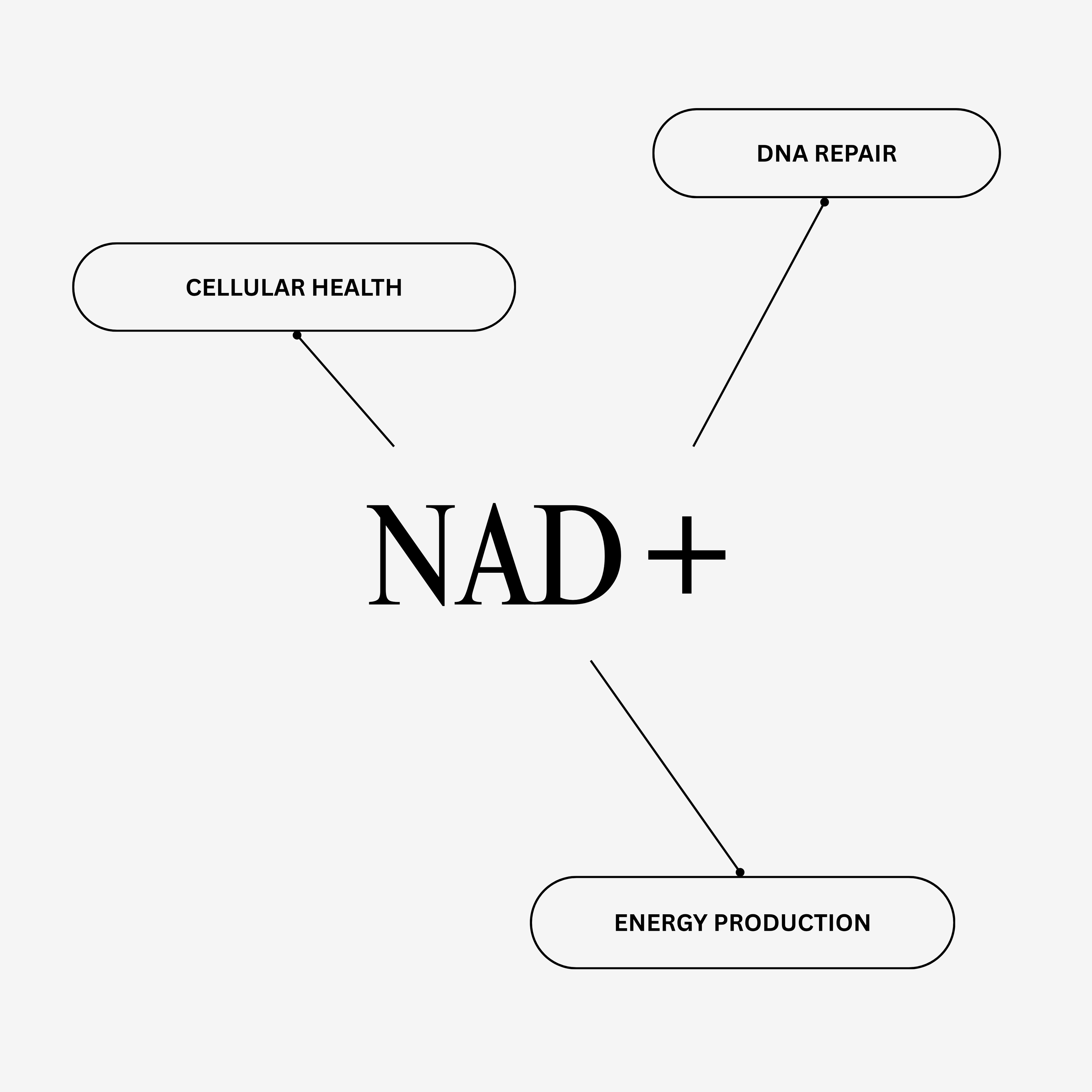 NAD+ Peptide Pen